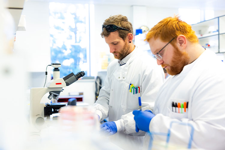 Researchers at work in the Robert Hammond lab in the School of Medicine at the University of St Andrews