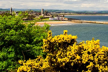 View from East Sands