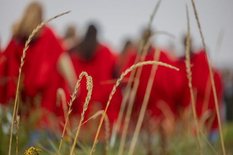 blurred image of students in red gowns