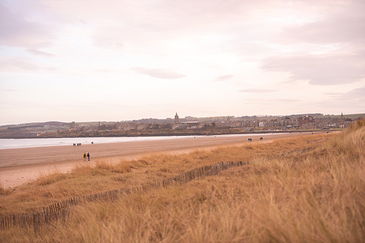 view of west sands