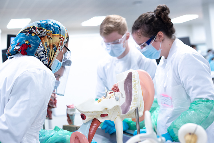 Medical students in lab coats