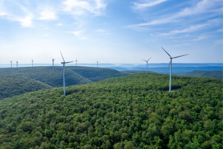 Wind turbines in a large field