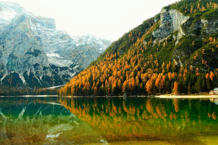 Mountains with dense forest over a lake