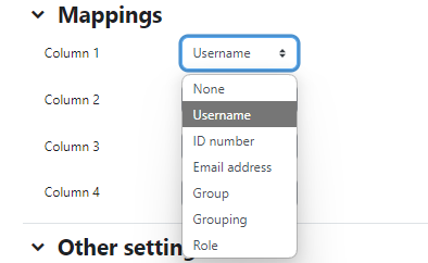 Screenshot showing data mapping options. Column 1 is expanded to show the options.