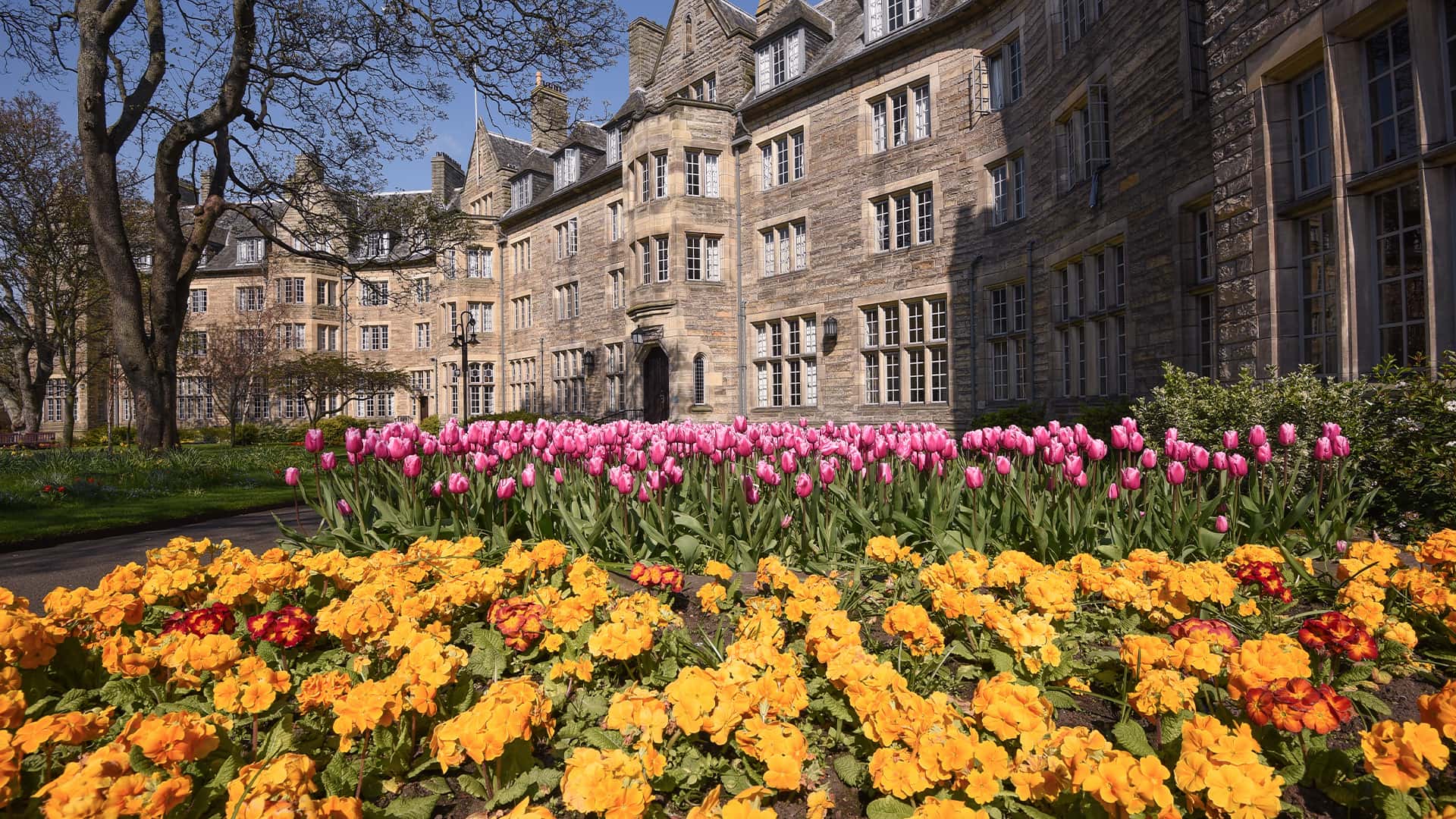 Microsoft Teams backgrounds - IT support - University of St Andrews