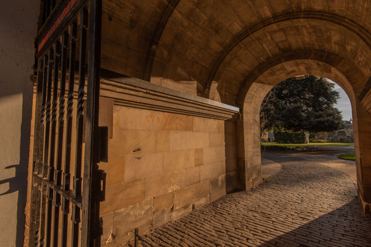 View through archway at St Mary's College towards the Holme oak tree