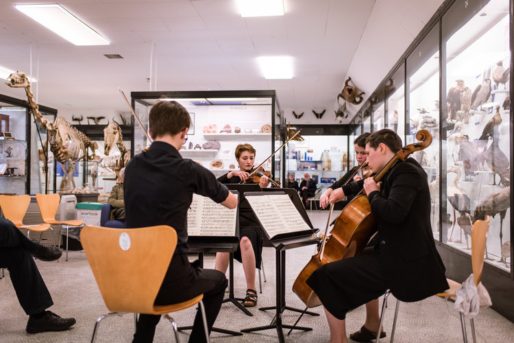 Students playing string instruments