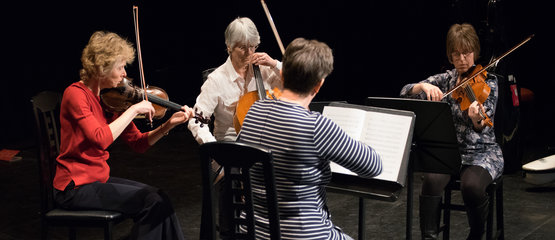 A quartet of string instruments