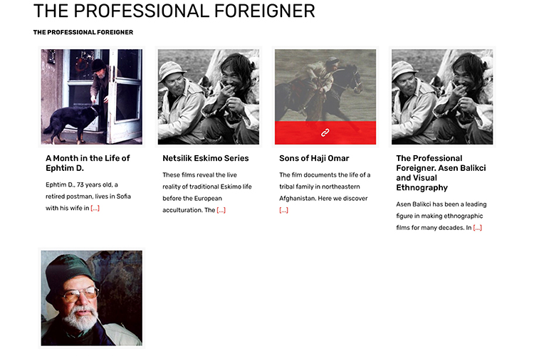 The Professional Foreigner: Sidebar at the 26th Astra Film Festival programmed by Dina Iordanova