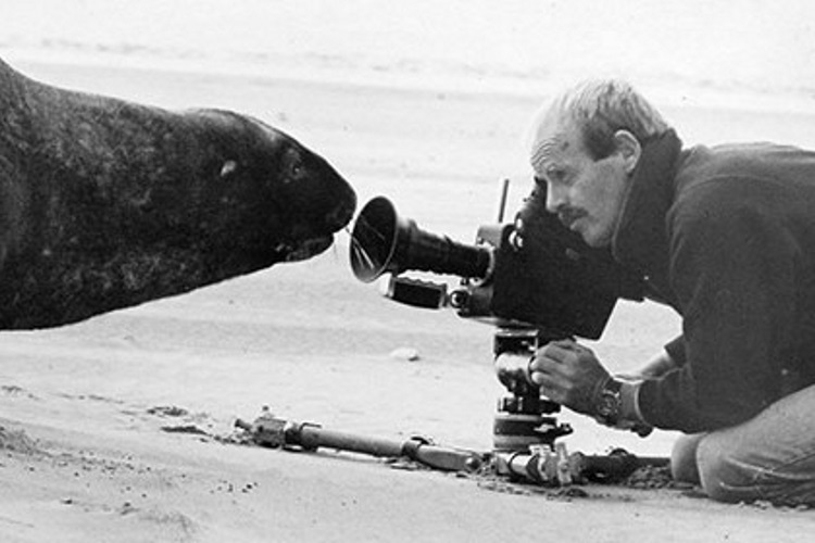 Documentary Now! Call for provocations: Has documentary failed? 