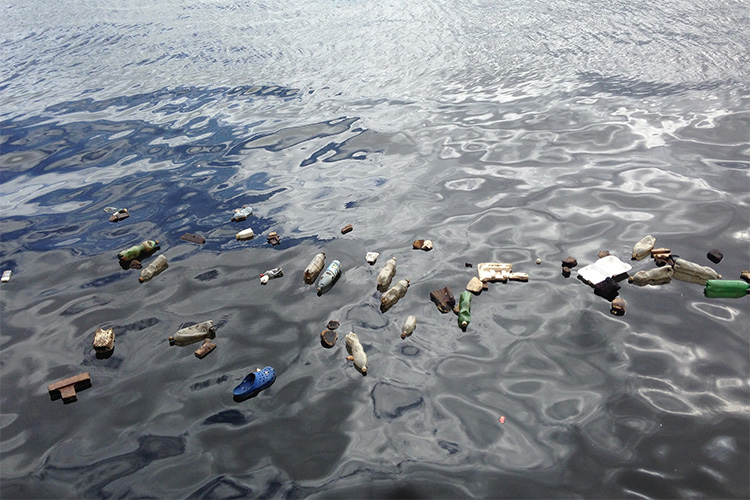 Plastic bottles floating in a polluted sea