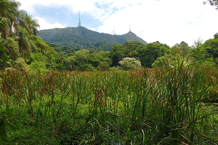 Bruno Silva Santos wins major Wellcome PhD Studentship