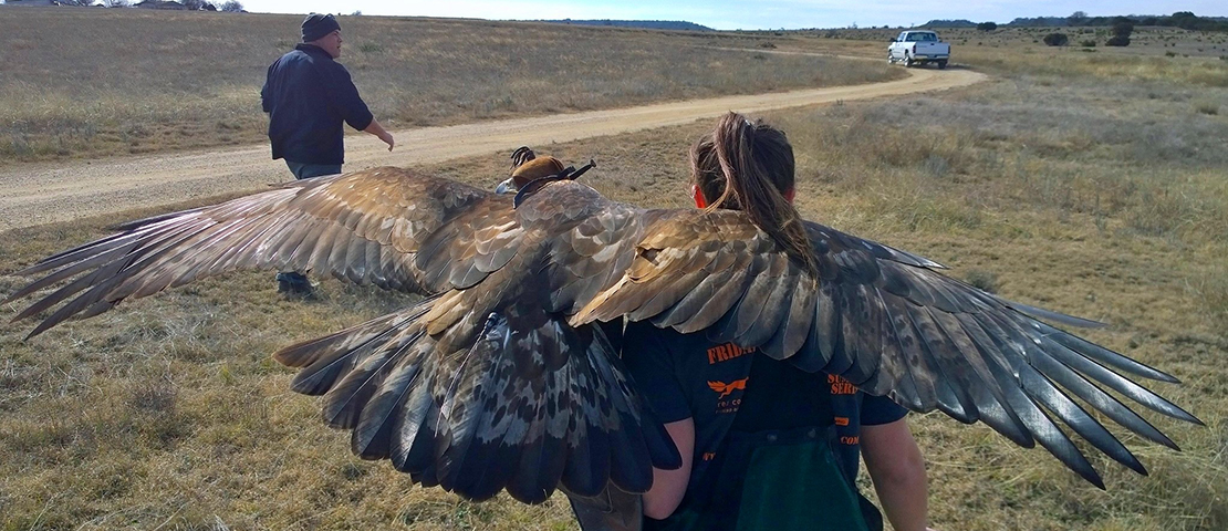 Hunter carrying eagle