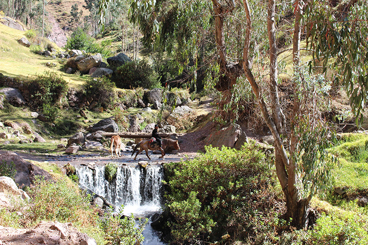 Peruvian landscape with waterfall