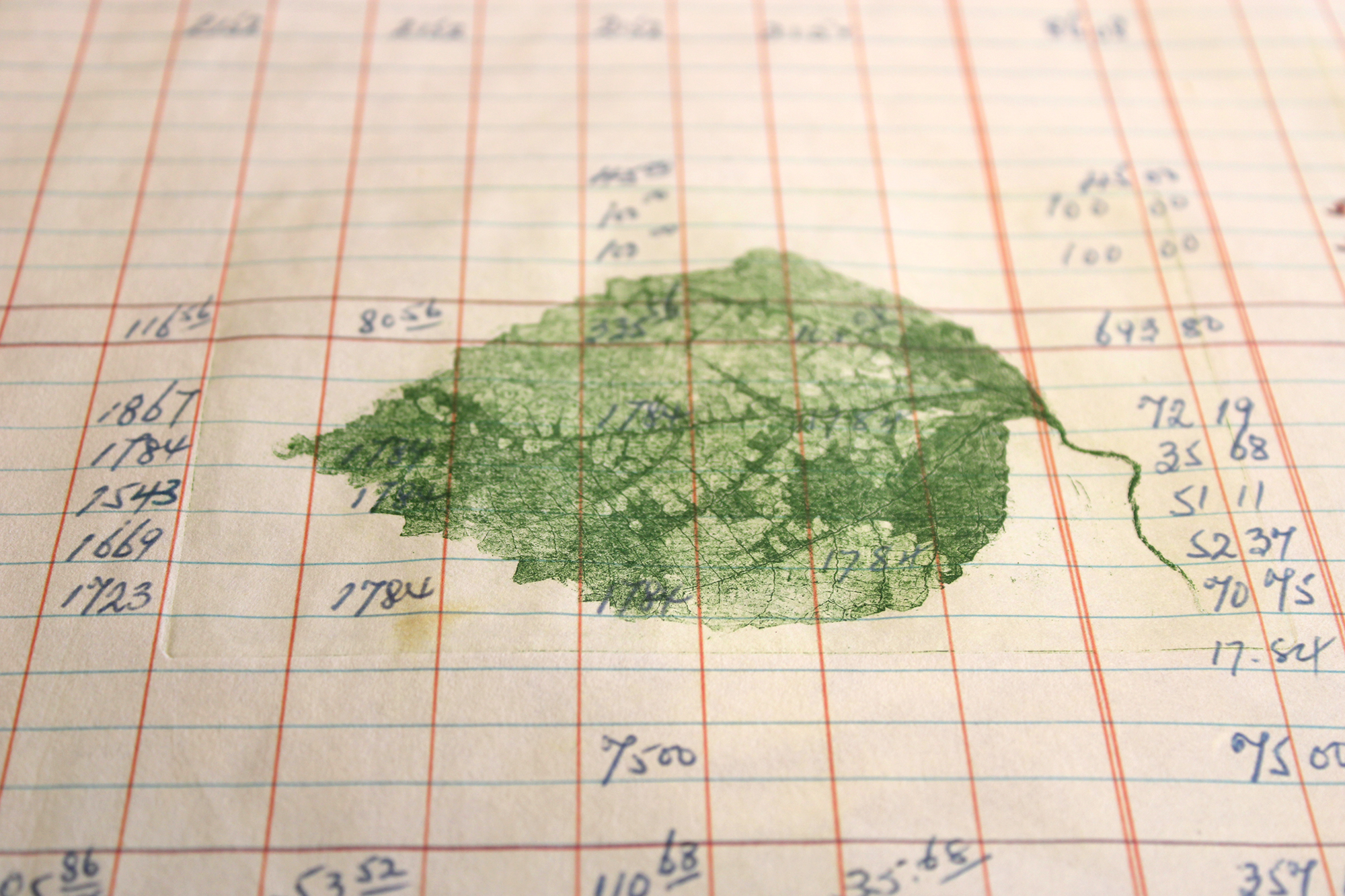 Annalee Davis Exhibition & Artist In Conversation