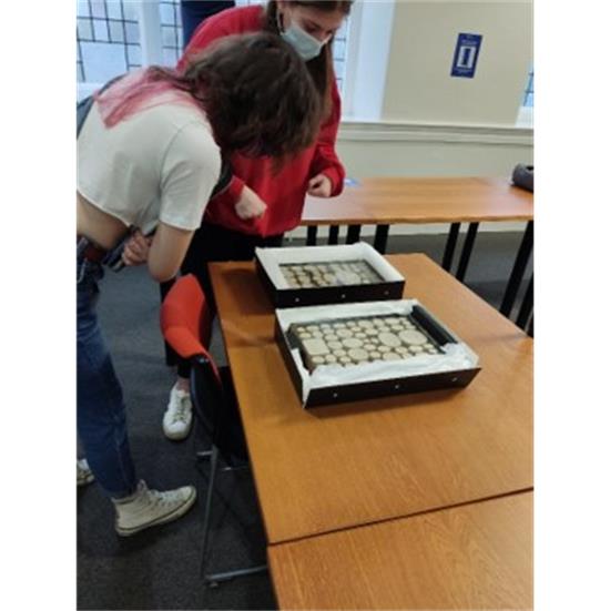 Innovations in object-based learning.