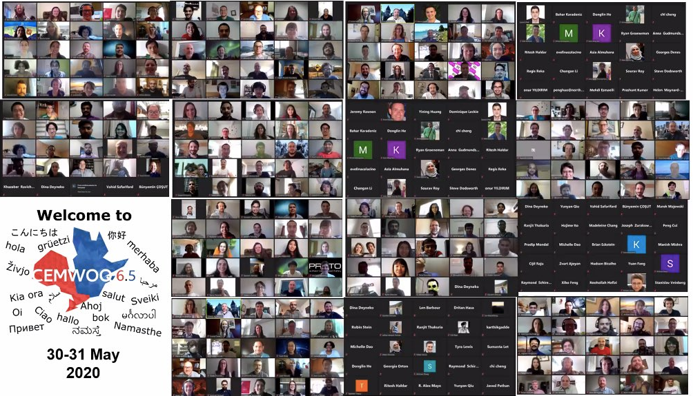 Virtual CEMWOQ-6.5 conference 