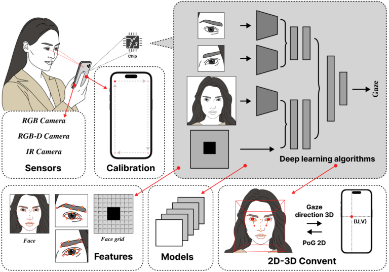 Illustration of the gaze detection process