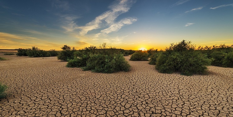 Hot days warming faster in the tropics