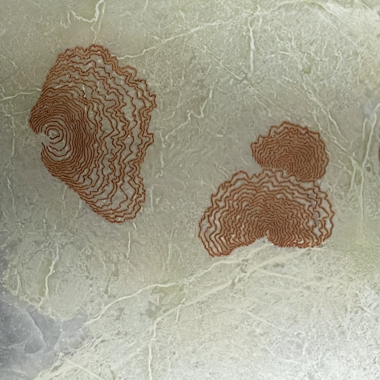 Photograph of artwork called Chaos Terrain, by Ilana Halperin