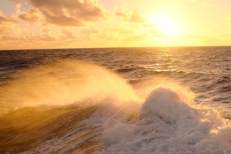 Waves on the Pacific, part 3