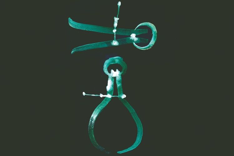 Karen Solie wins Forward Prize for Poetry