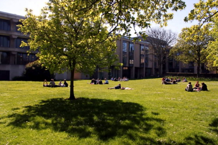Students sitting on the grass in front of the Arts building