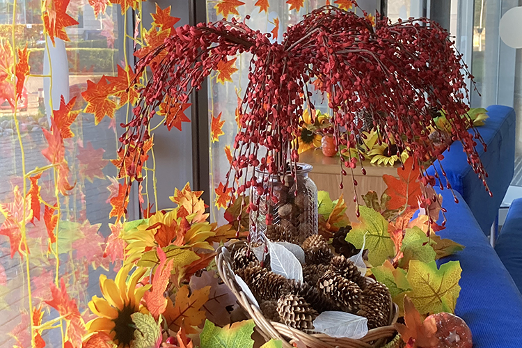 autumn colours display in Gateway window, with leaves, berries, conkers and pinecones