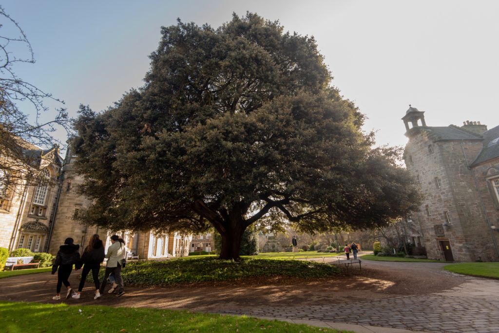 Funded Masters Scholarship in Global Languages, Literatures, and Cultures