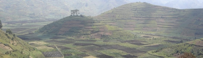 Rwandan stories of change, dense agriculture in the hills