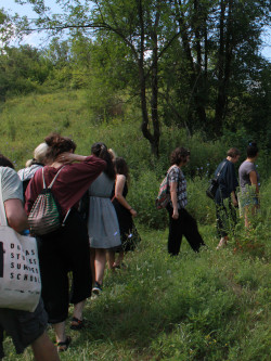 Participants of a summer school in Donbas walking across green meadow