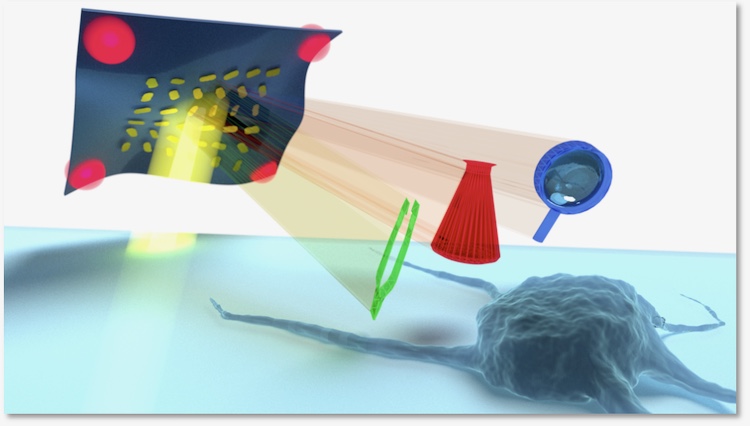 HIPPO – ERC Proof of Concept awarded