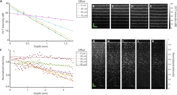 New deep light imaging could improve disease diagnosis
