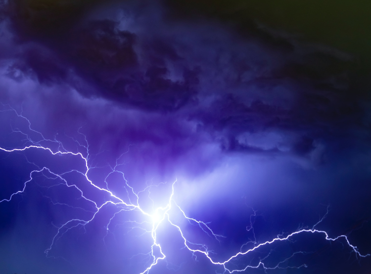 Life on Earth quickly became independent from lightning as a nitrogen source