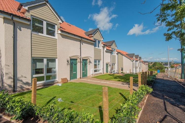 Row of houses showing gardens with grass and plants
