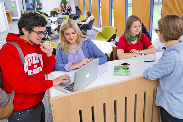 Students at the library