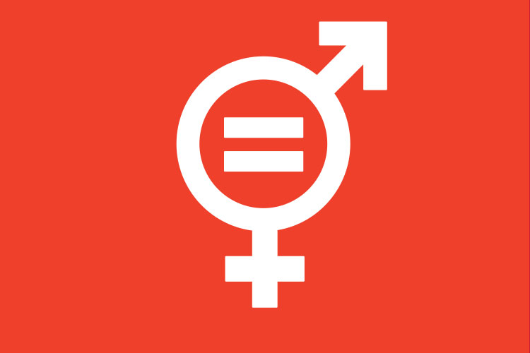 Graphic of male and female glyph with an equals sign in the centre