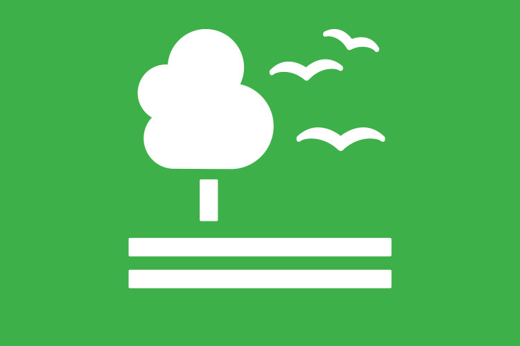 Graphic of a tree with birds flying around it