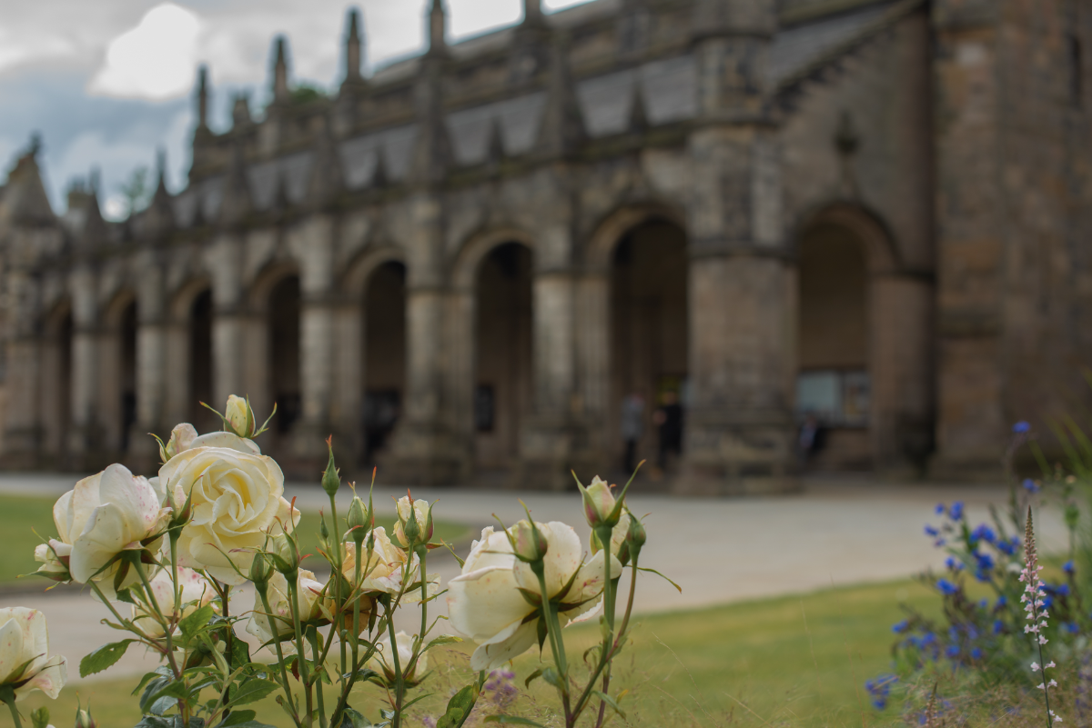 White roses and spring flowers are at the forefront of the image, the background is a slightly blurred quad with a view onto the cloisters