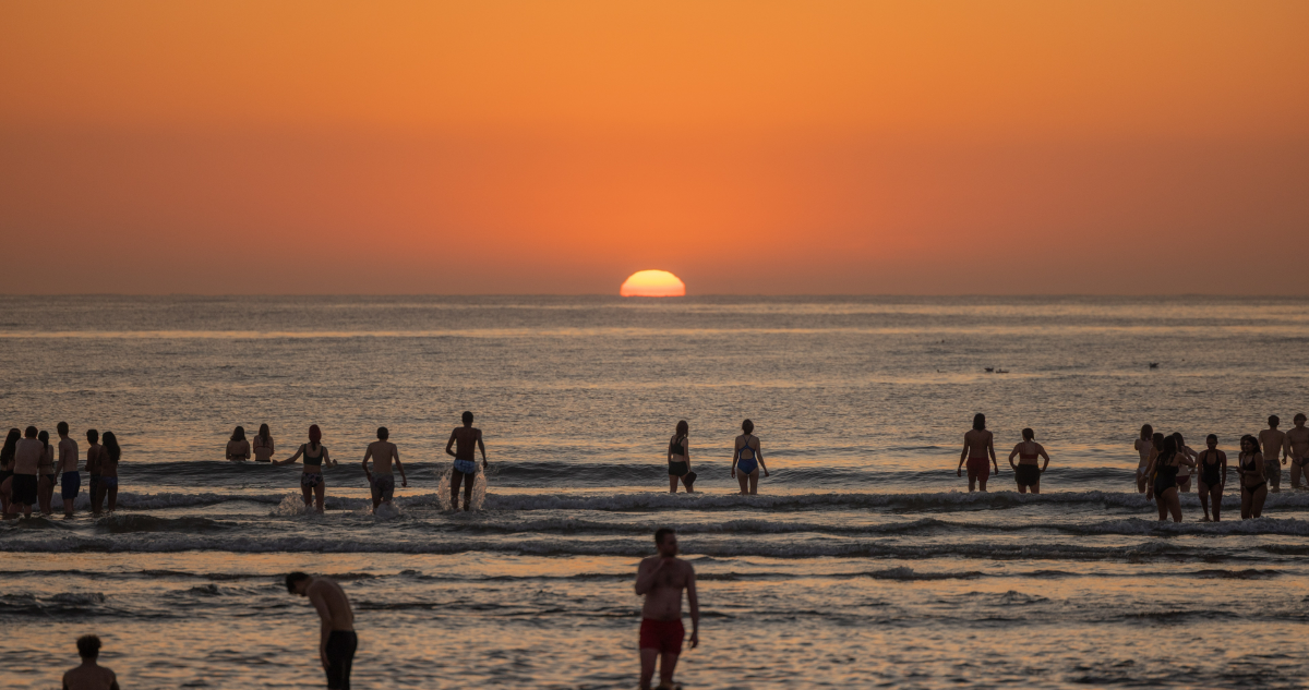 Students brave the cold North Sea at sunrise for May Dip