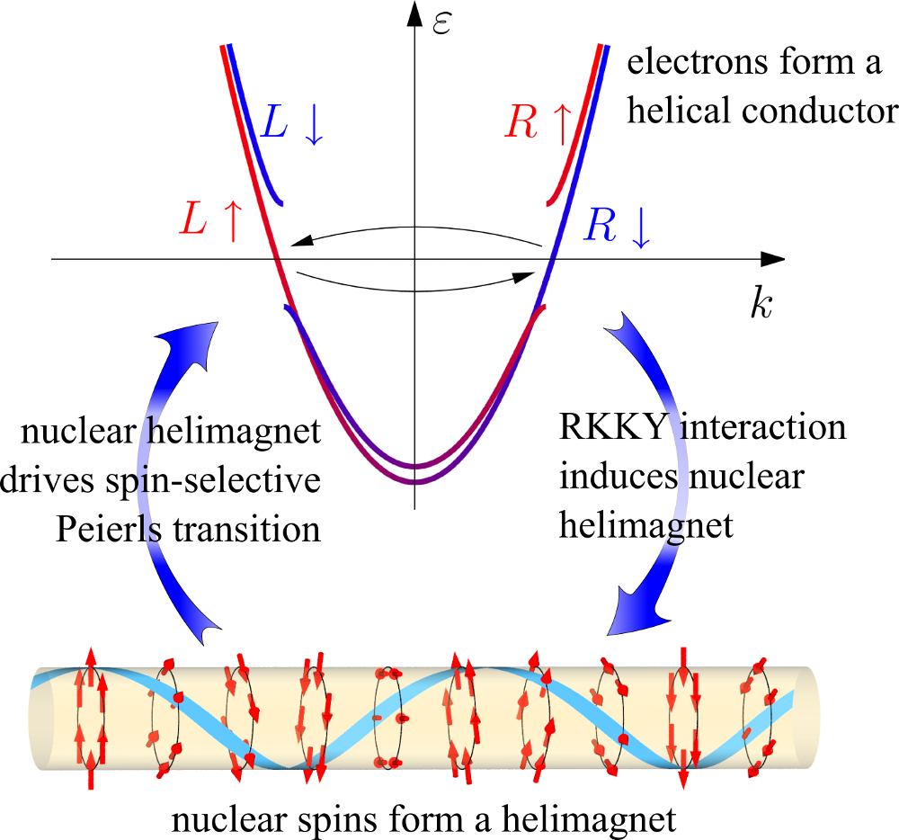 [image of spin-selective Peierls transformation]