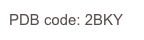 PDB code: 2BKY 
