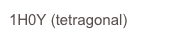 1H0Y (tetragonal)