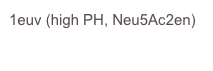1euv (high PH, Neu5Ac2en)