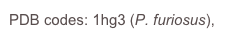 PDB codes: 1hg3 (P. furiosus), 