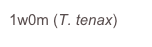 1w0m (T. tenax)