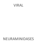 VIRAL





NEURAMINIDASES