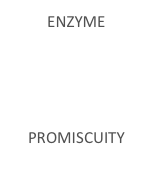 ENZYME  




PROMISCUITY