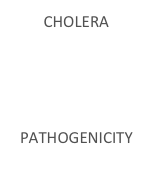 CHOLERA 




PATHOGENICITY