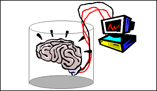 Image result for brain in vat hypothesis